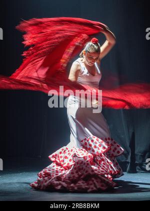 Spectacle de flamenco au Teatro Flamenco Sevilla Banque D'Images