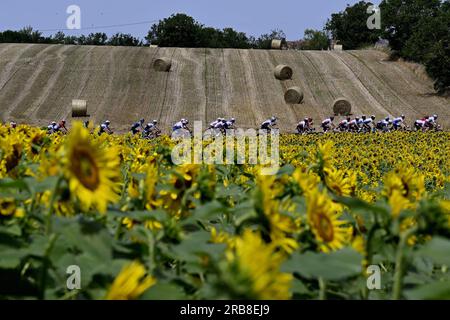 Limoges, France. 08 juillet 2023. Le peloton de coureurs photographié en action lors de l'étape 8 du Tour de France, une course de 200,7 km de Libourne à Limoges, France, samedi 08 juillet 2023. Le Tour de France de cette année aura lieu du 01 au 23 juillet 2023. BELGA PHOTO DIRK WAEM crédit : Belga News Agency/Alamy Live News Banque D'Images