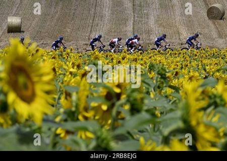 Limoges, France. 08 juillet 2023. Le peloton de coureurs photographié en action lors de l'étape 8 du Tour de France, une course de 200,7 km de Libourne à Limoges, France, samedi 08 juillet 2023. Le Tour de France de cette année aura lieu du 01 au 23 juillet 2023. BELGA PHOTO DIRK WAEM crédit : Belga News Agency/Alamy Live News Banque D'Images