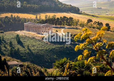 Le temple dorique de Ségesta. Segesta, Calatafimi, Trapani, Sicile, Italie, Europe. Banque D'Images