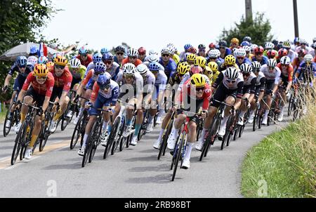 Limoges, France. 08 juillet 2023. Le peloton de coureurs photographié en action lors de l'étape 8 du Tour de France, une course de 200,7 km de Libourne à Limoges, France, samedi 08 juillet 2023. Le Tour de France de cette année aura lieu du 01 au 23 juillet 2023. BELGA PHOTO DIRK WAEM crédit : Belga News Agency/Alamy Live News Banque D'Images