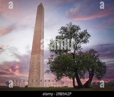 Le Washington Monument sur le Mall, à Washington DC. Banque D'Images