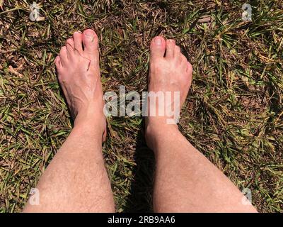 Pieds dans des sandales en caoutchouc marchant sur l'herbe et le sol de terre. Chinelo Havaianas Banque D'Images