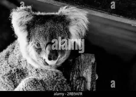 Voyage incroyable autour des endroits fantastiques de la terre Down Under (Australie) Banque D'Images