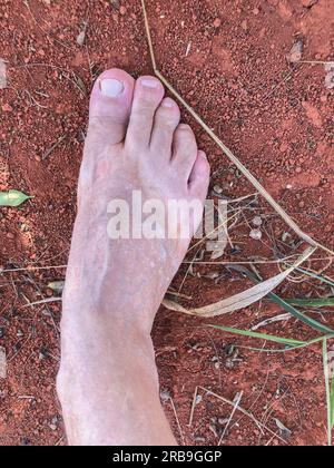 Pieds dans des sandales en caoutchouc marchant sur l'herbe et le sol de terre. Chinelo Havaianas Banque D'Images