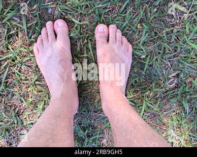 Pieds dans des sandales en caoutchouc marchant sur l'herbe et le sol de terre. Chinelo Havaianas Banque D'Images