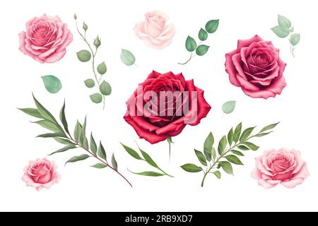 Roses de demi-teinte rouges et roses, éléments d'illustration dessinés à la main ensemble coloré Banque D'Images