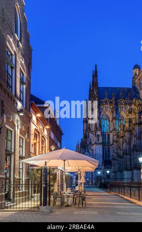 Cathédrale Saint-Jean, Den Bosch, Brabant du Nord, pays-Bas Banque D'Images