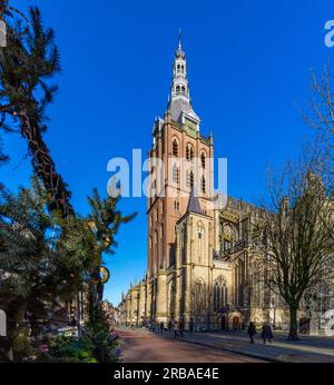 Cathédrale Saint-Jean, Den Bosch, Brabant du Nord, pays-Bas Banque D'Images