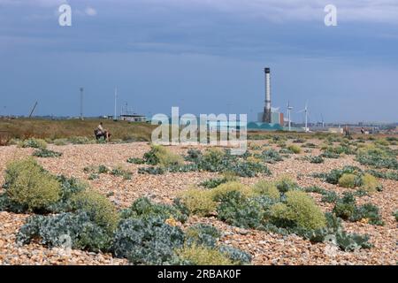 Shoreham, West Sussex, Angleterre, Royaume-Uni. 8 juillet 2023. La centrale électrique et les éoliennes de Shoreham-by-Sea dans le Sussex de l'Ouest par une journée de juillet très chaude et humide. Crédit : Julia Gavin/Alamy Live News Banque D'Images