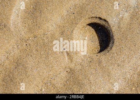 Trous de Solen marginatus, également connu sous le nom de Grooved Razor Shell, Cannolicchio ou Cappalunga, dans le sable de la plage sur la côte Adriatique italienne Banque D'Images