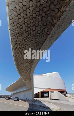 Terminal de croisière, terminal de Cruzeiros, façade revêtue de tuiles blanches, bâtiment futuriste de l'architecte Luis Pedro Silva, Porto de Leixoes Banque D'Images