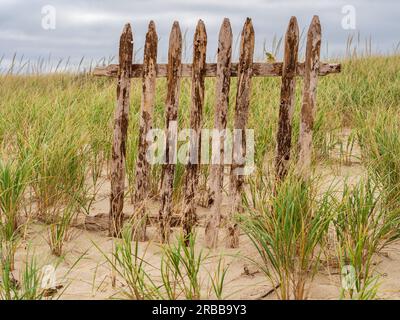 Dans une toile de fond de dunes de sable herbeuses, un fragment d'une clôture en bois vieilli se dresse de manière résiliente. Banque D'Images