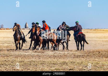 Hommes pratiquant le Kokpar, jeu national de chevaux, Kazakhstan Banque D'Images