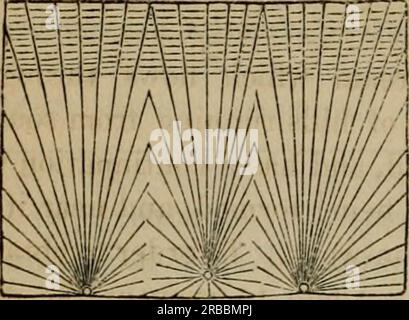 'Edimbourg New Philosophical Journal' (1837 - 1838) Banque D'Images