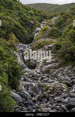 Wilkies pools, Mount Egmont, Nouvelle-Zélande. Banque D'Images