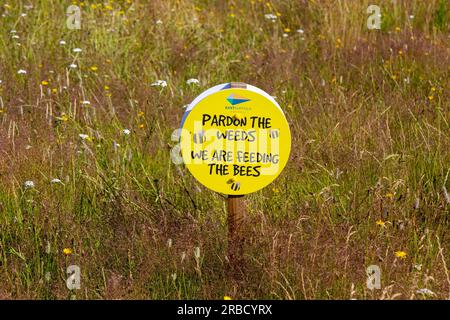 Pardonnez les mauvaises herbes nous alimentons les abeilles, East Suffolk Council Sign, Suffolk, Angleterre, Royaume-Uni Banque D'Images