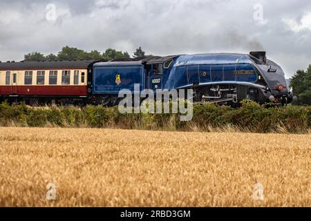 LNER Class A4 4498 (60007) Sir Nigel Gresley train à vapeur photographié voyageant à travers la campagne du Devon. Banque D'Images
