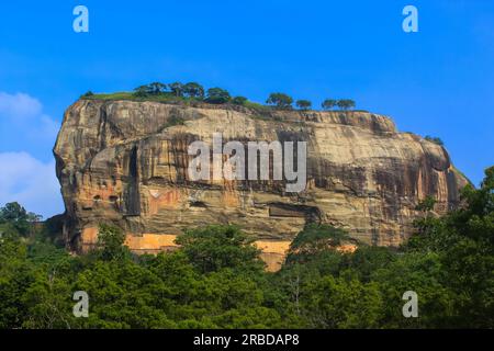 Vue rapprochée de la forteresse de Sigiriya Lion Rock derrière les arbres du rocher de Pidurangala, Sri Lanka. Ciel bleu avec espace de copie pour le texte Banque D'Images