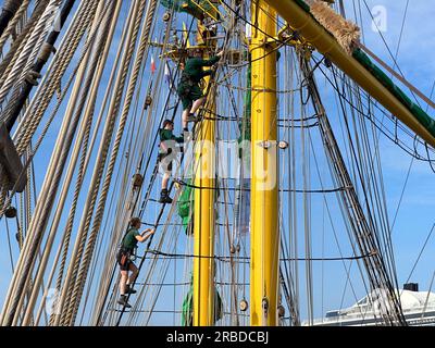 06/24/2023 Kiel Allemagne : windjammer parade du grand marin Alexander von Humboldt 2 Banque D'Images