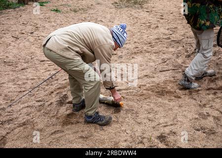 Pêcheur attrape des poissons de carpe australiens à Macquarie River, Nouvelle-Galles du Sud, Australie Banque D'Images