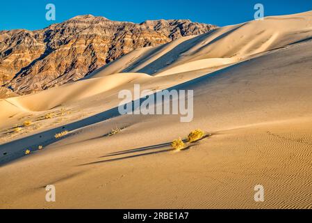 Eureka Dunes in Eureka Valley, Last chance Range in distance, coucher de soleil, Death Valley National Park, Californie, États-Unis Banque D'Images