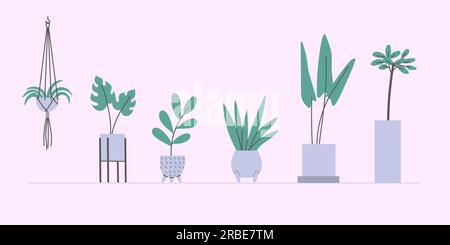 Ensemble de plantes de maison plates de vecteur dans des pots. Illustration simple en deux couleurs. Illustration de Vecteur