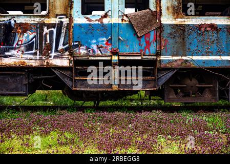 Vieux train électrique rouillé de passagers à unités multiples mis hors service et abandonné sur le revêtement de voie ferrée sur un terrain herbeux vert Banque D'Images