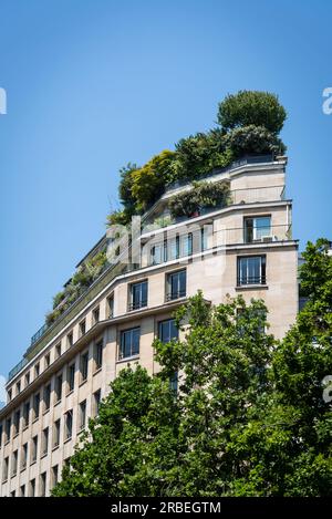 Immeuble résidentiel dans le 1e arrondissement avec jardin sur le toit, Paris, France Banque D'Images