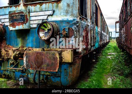 Vieux train électrique rouillé de passagers à unités multiples mis hors service et abandonné sur le revêtement de voie ferrée sur un terrain herbeux vert Banque D'Images