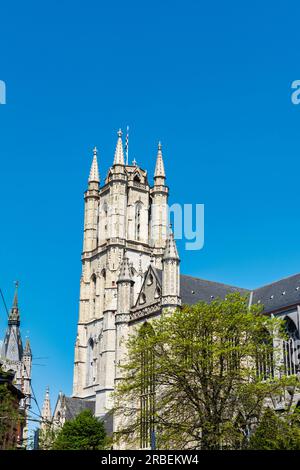 Cathédrale Saint Bavos à Gand (Gand) en Belgique, Europe Banque D'Images