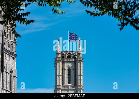 Cathédrale Saint Bavos à Gand (Gand) en Belgique, Europe Banque D'Images