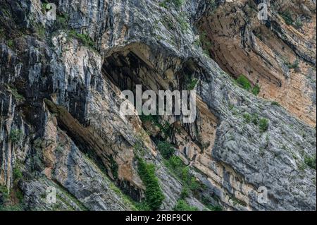 La réserve naturelle de Fara San Martino-Palombaro est une zone naturelle protégée de 4202 ha, créée en 1983, située dans les municipalités de Fara San M. Banque D'Images