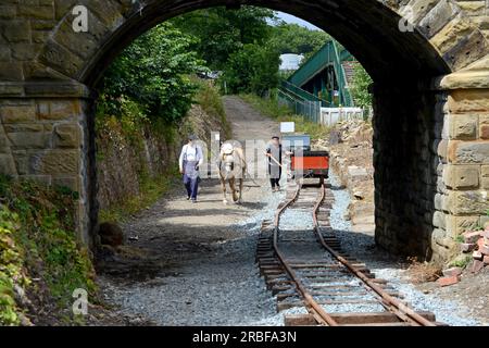 Chirk, Wrexham, Royaume-Uni, 9 juillet 2023. Les bénévoles du tramway de la vallée de Glyn ont exploité le premier train sur le chemin de fer à voie étroite désaffecté en 88 ans, en recréant un train tiré par des chevaux typique de l'ouverture du chemin de fer en 1873, dans la vallée de Glyn près de Chirk. Le chemin de fer a été construit pour relier les carrières de Glyn Ceriog au Shropshire Union Canal à Chirk, et plus tard a transporté le trafic de passagers jusqu'à sa fermeture en 1935. Les volontaires ont l'autorisation de rouvrir 1 mile de la ligne et espèrent étendre avec des trains à vapeur à l'avenir. G.P. Essex/Alamy Live News Banque D'Images
