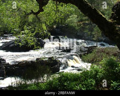 Les chutes de Rogie sont une série de chutes d'eau sur la Black Water, une rivière à Easter Ross dans les Highlands de l'Écosse. Banque D'Images