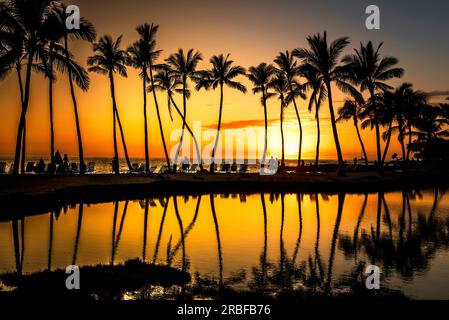 Coucher de soleil orange et ombre de palmiers sur une plage hawaïenne Banque D'Images