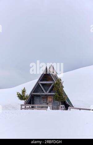 Chalet en bois typique dans la montagne Dolomites en hiver, Tyrol du Sud, Passo Giau, Dolomites, Italie Banque D'Images