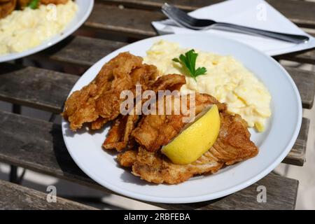 Backfisch poisson frit en pâte avec salade de pommes de terre de style Hambourg sur une table rustique Banque D'Images