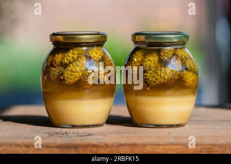 Deux pots en verre de miel frais avec des cônes de pin sur une table en bois, gros plan Banque D'Images