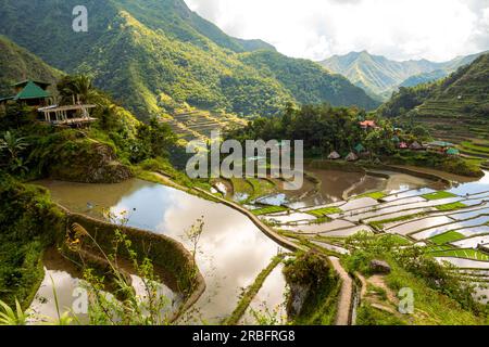 Rizières en terrasses inondées au début du printemps, Batad, Philippines. Images d'arrière-plan avec espace copie pour le texte Banque D'Images