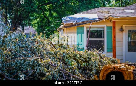 Maison avec le toit endommagé avec le plastique le recouvrant et l'arbre qui est tombé dessus empilé au premier plan - après la tempête Banque D'Images