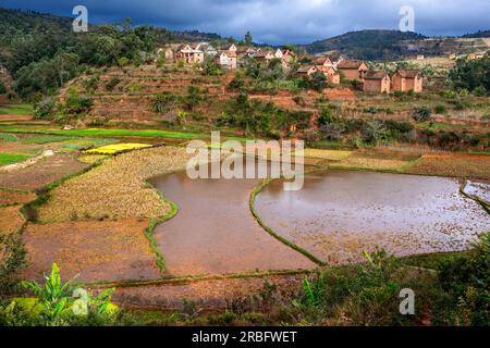 Paysage avec les rizières à Ambalavao Fianarantsoa, île de Madagascar. Fianarantsoa est la capitale de la région de haute Matsiatra et de la FIA Banque D'Images