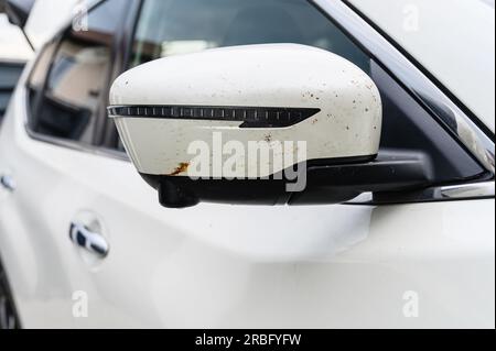 Insectes sur la peinture des voitures, moucherons cassés. Tué des insectes sur le rétroviseur latéral d'une voiture Banque D'Images