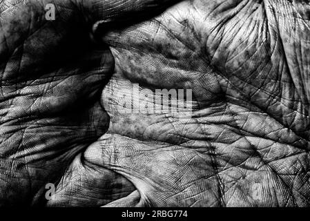 Photo noire et blanche de man les mains avec les doigts croisés sur fond sombre Banque D'Images