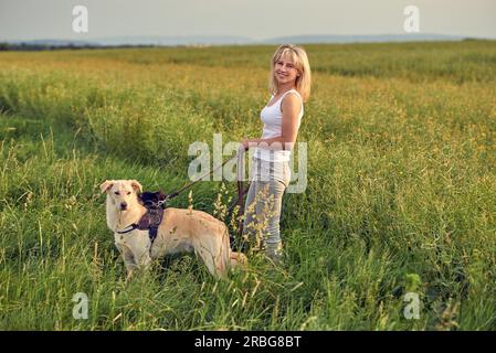 Femme blonde à ses chiens au coucher du soleil dans la lumière dorée de marcher à travers un champ verdoyant ou prairie avec long Green grass Banque D'Images