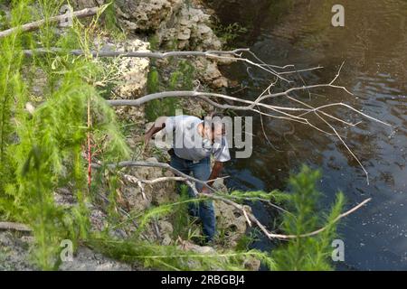 Biologiste inspectant le gouffre, Bureau of mine Reclamation, Floride centrale. Banque D'Images