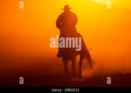 Un Charro mexicain rassemble un troupeau de chevaux courant dans un champ sur un ranch mexicain au lever du soleil Banque D'Images