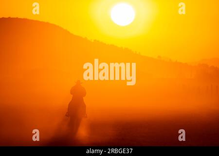 Un Charro mexicain rassemble un troupeau de chevaux courant dans un champ sur un ranch mexicain au lever du soleil Banque D'Images