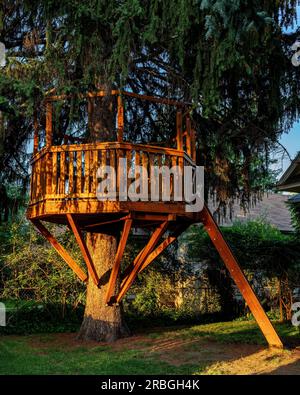 Maison d'arbre créative dans une cour avant dans une petite ville USA Banque D'Images