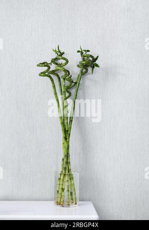 Vase avec de belles tiges de bambou vert sur table de chevet blanche à l'intérieur Banque D'Images